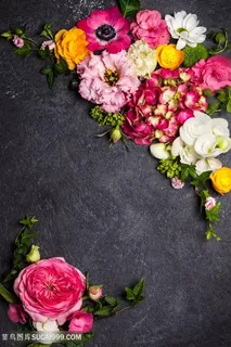 美丽的花朵边框高清图片