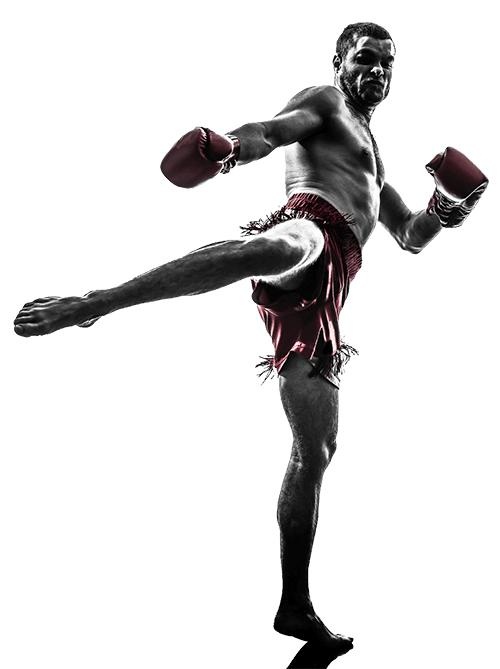 泰拳 PNG免抠(500x669)