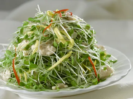 LCSC0299椿苗桃仁