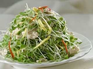 LCSC0299椿苗桃仁