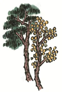 古木国画欣赏摄影图片