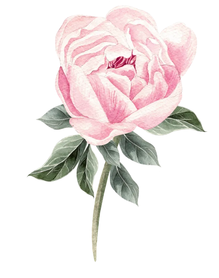 鲜花玫瑰免扣素材