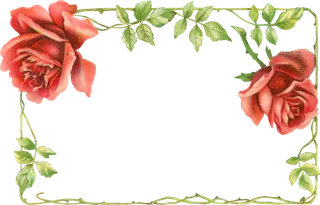 古典花卉png免扣素材