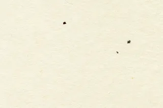 中国风底纹背景再生纸纹理素材黄色