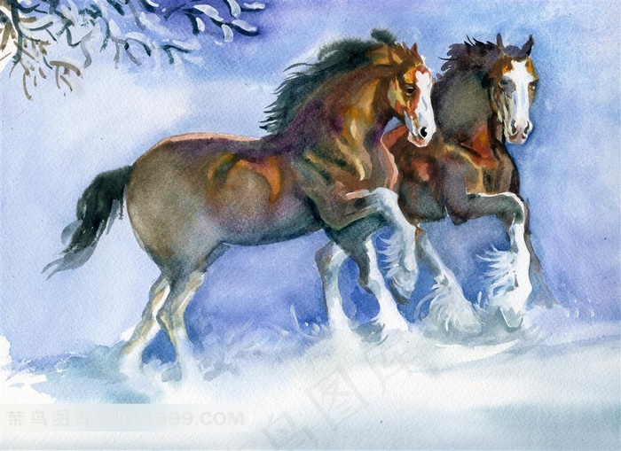 高清手绘骏马素材图片