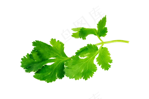 蔬菜免扣png素材