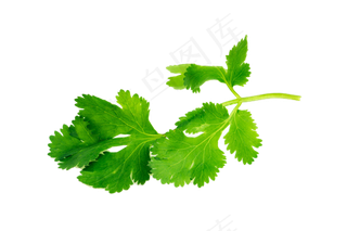 蔬菜免扣png素材