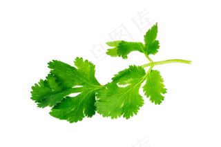 蔬菜免扣png素材