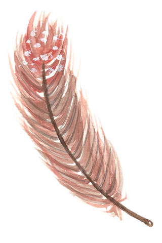 唯美森系手绘水彩花朵 免抠