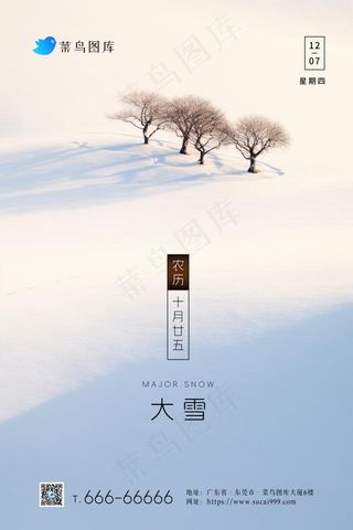 大雪简约雪景白雪浪漫节气海报