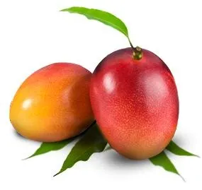 芒果 PNG免抠(285x269)