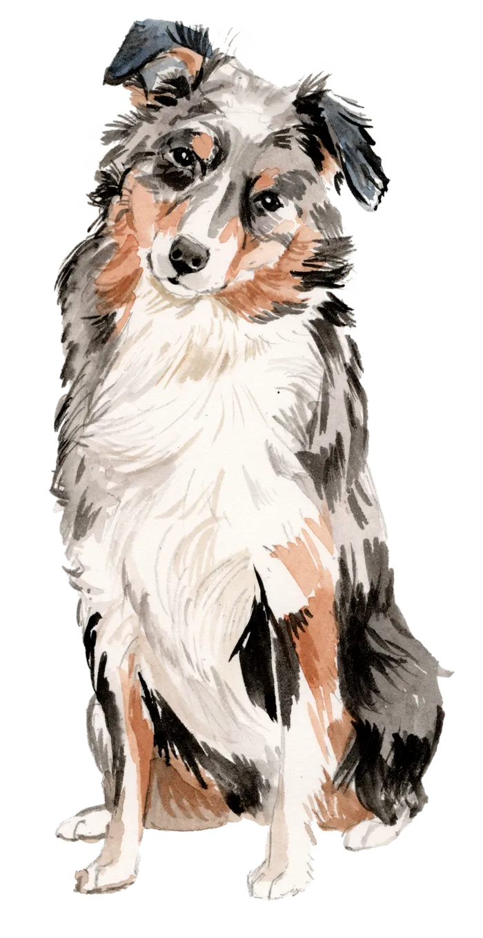 狗狗水彩画插画免扣素材可爱宠物狗