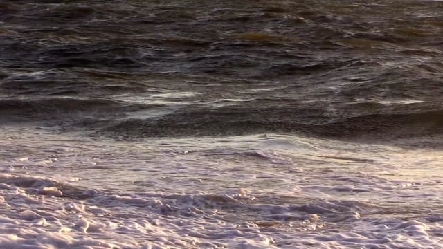 海, 海滩, 波浪, 冲浪, 水