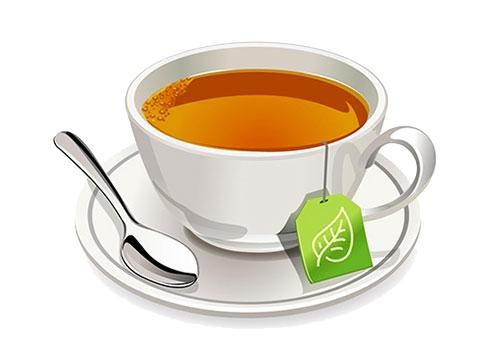茶 PNG免抠(500x353)