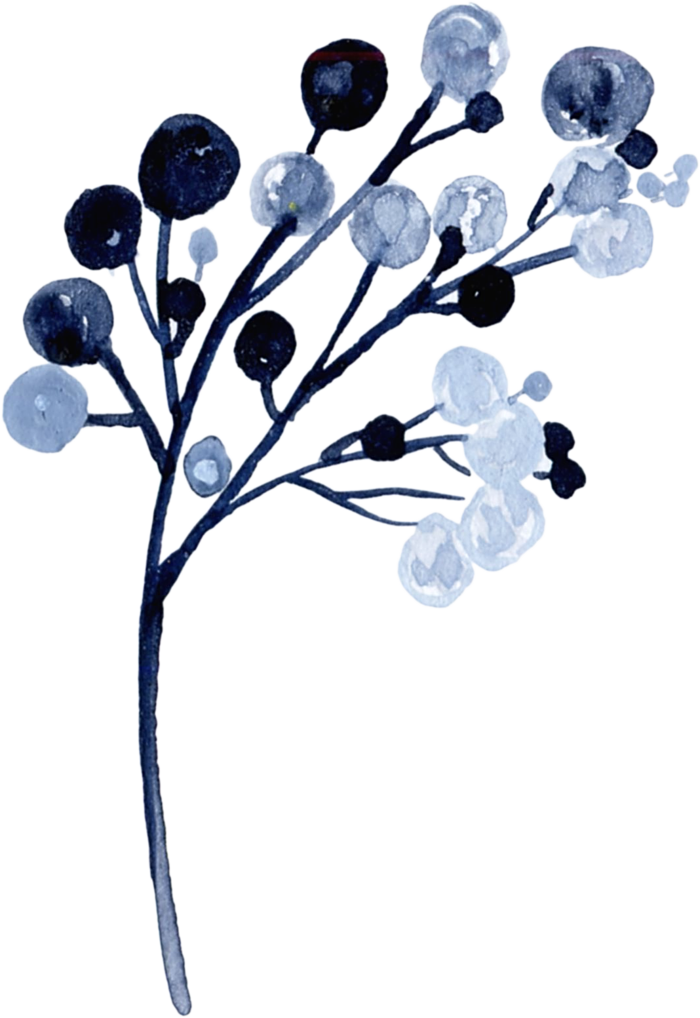 海军蓝金线水彩花卉素材