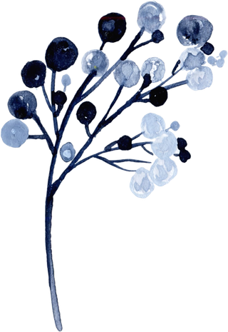 海军蓝金线水彩花卉素材