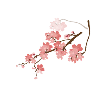 春天浪漫粉红色樱花手绘樱花梅花桃花花朵图片PNG免扣素材 春天浪漫粉红色樱花手绘樱花梅花桃花花朵图片PNG免扣素材