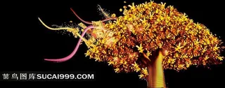 金钱树金融图片