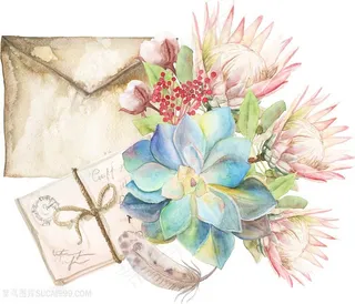 水彩多肉植物信封静物插画