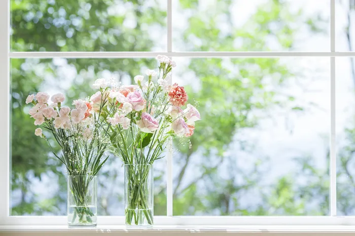 春天靠近窗户的花瓶特写场景