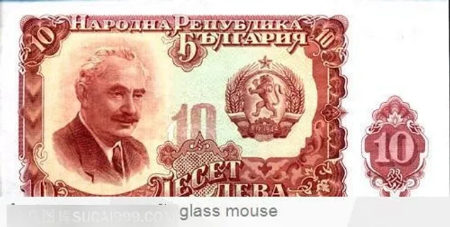 10元外币上的*物头像