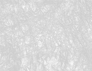 白色高级底纹质感高端柔和灰色