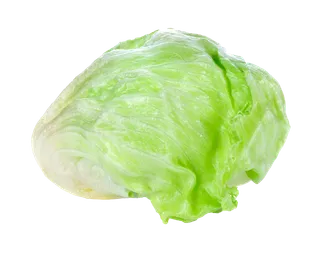 生菜 (42)超市商品白底图免抠实物摄影png格式图片透明底