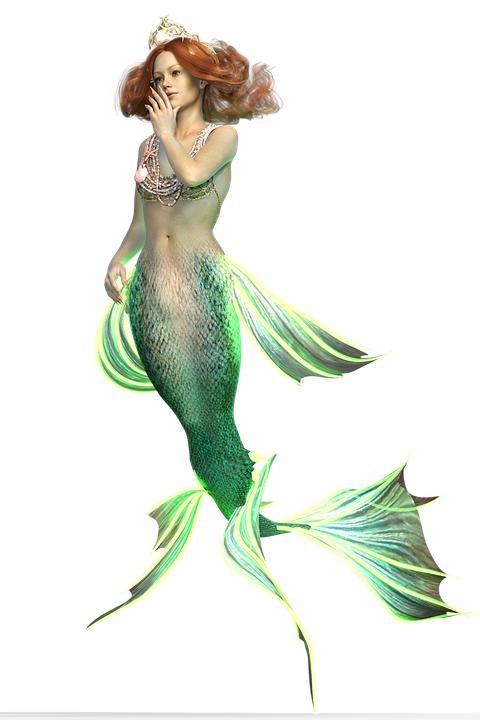 美人鱼 PNG免抠(480x720)