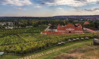 农业小材的风景 