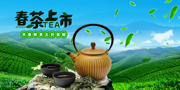 春茶上市茶叶背景psd模版下载