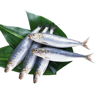 鱼 (2)海鲜超市商品红酒白底图免抠实物摄影png格式图片透明底