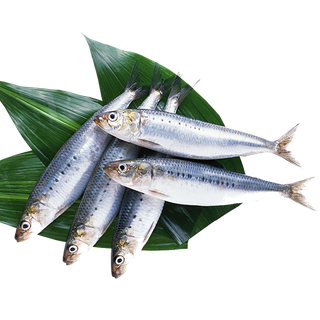 鱼 (2)海鲜超市商品红酒白底图免抠实物摄影png格式图片透明底