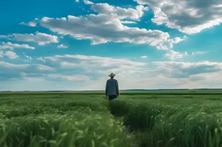 蓝天白云小麦人物背景