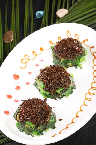 L01824长寿万年青