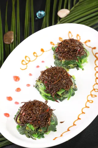 L01824长寿万年青