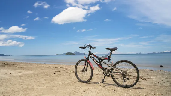 骑行自行车山地自行车