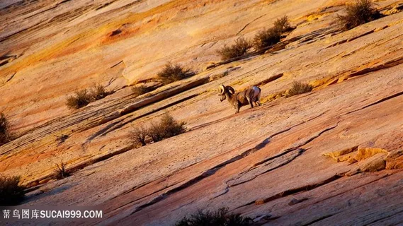 沙漠戈壁风景画壁纸