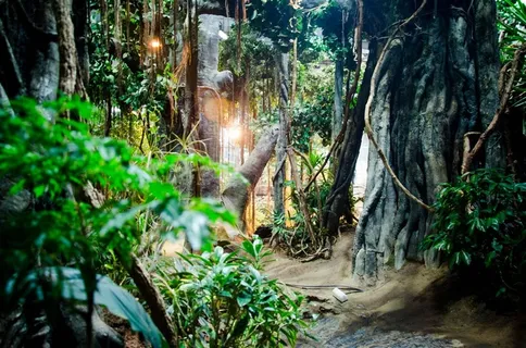深林树林树木植物绿色背景树 深林树林树木植物绿色背景树