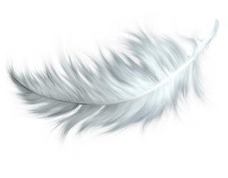 白色羽毛轻盈