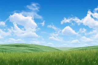 春天的蓝天白云草原很美背景图