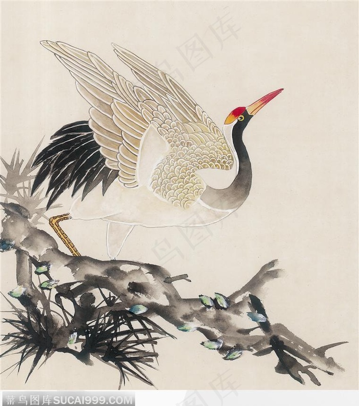 工笔画—白鹤图