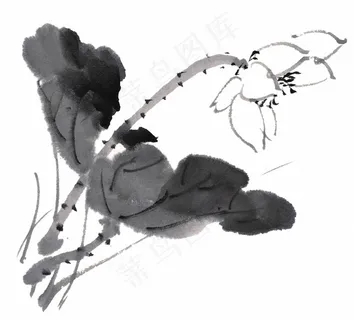 水墨荷花图片素材合辑七