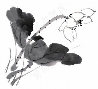 水墨荷花图片素材合辑七