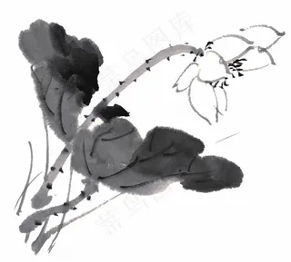 水墨荷花图片素材合辑七
