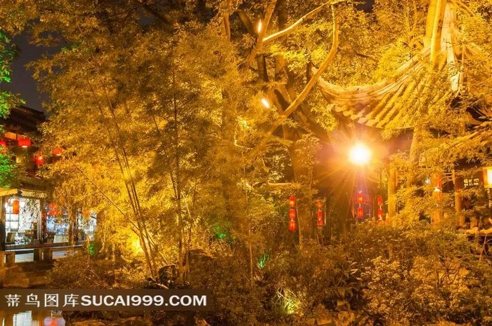 锦里夜晚灯光下的金色竹林庭园