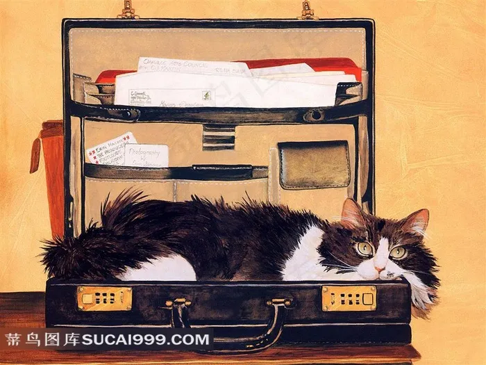 箱子里的小猫插画素材
