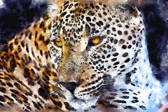 猎豹水彩肖像图片