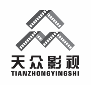 天众影视黑白灰logo标志