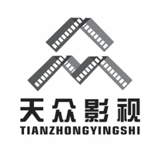 天众影视黑白灰logo标志
