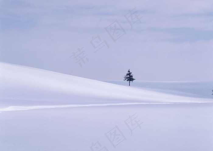 冰天雪地 309